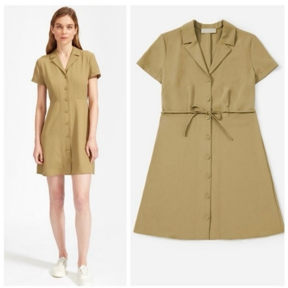 Everlane The Japanese GoWeave Notch Shirtdress